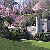The gardens at Caerhays - open to visitors February to May 