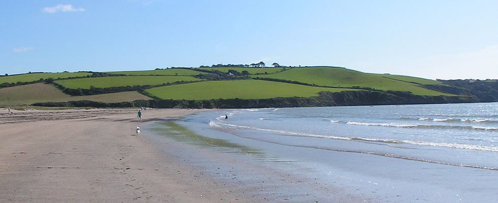 The large sandy beach at Par near St Austell - a great place to walk the dog!