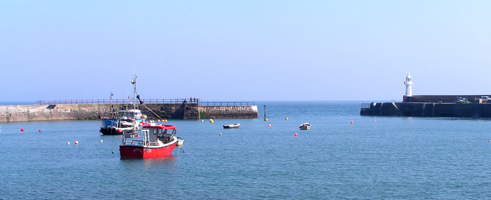 Views over the harbour entrance at Mevagissey